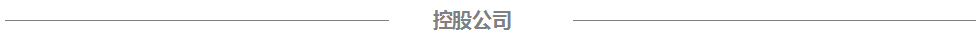中国·银河集团(galaxy)电气控股公司
